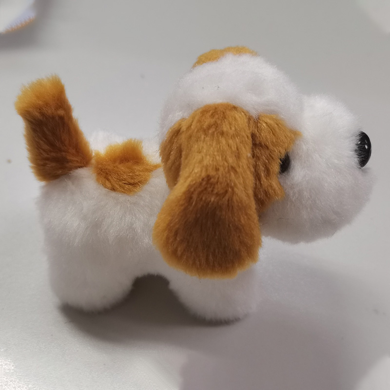 狗